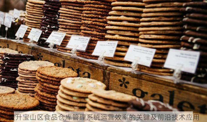 提升宝山区食品仓库管理系统运营效率的关键及前沿技术应用