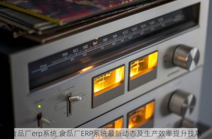 食品厂erp系统 食品厂ERP系统最新动态及生产效率提升技巧