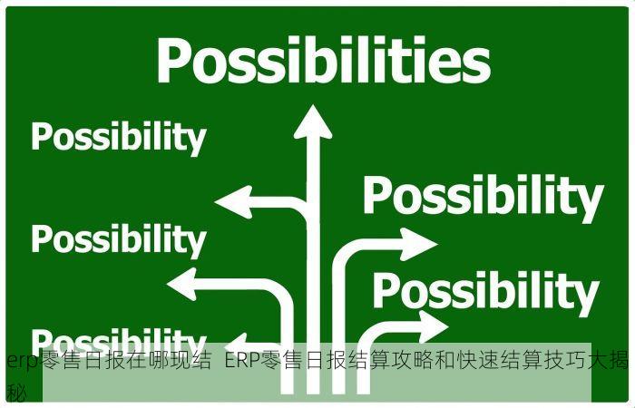 erp零售日报在哪现结  ERP零售日报结算攻略和快速结算技巧大揭秘