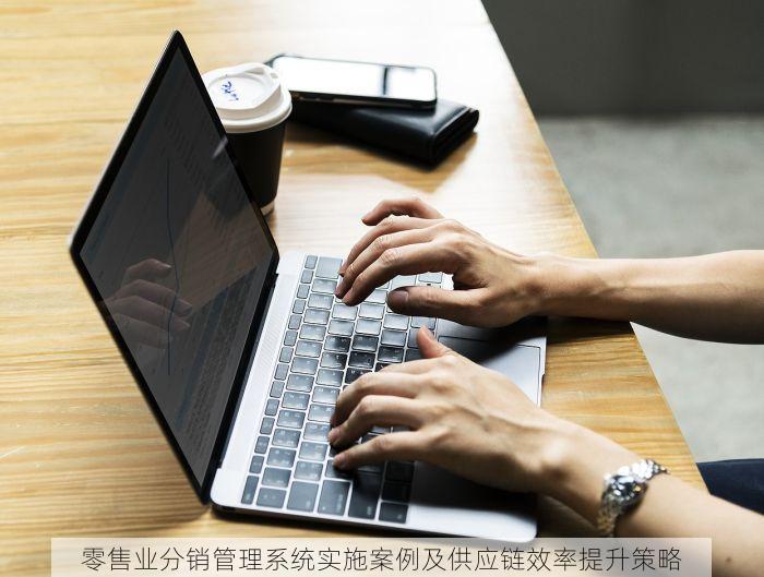 零售业分销管理系统实施案例及供应链效率提升策略