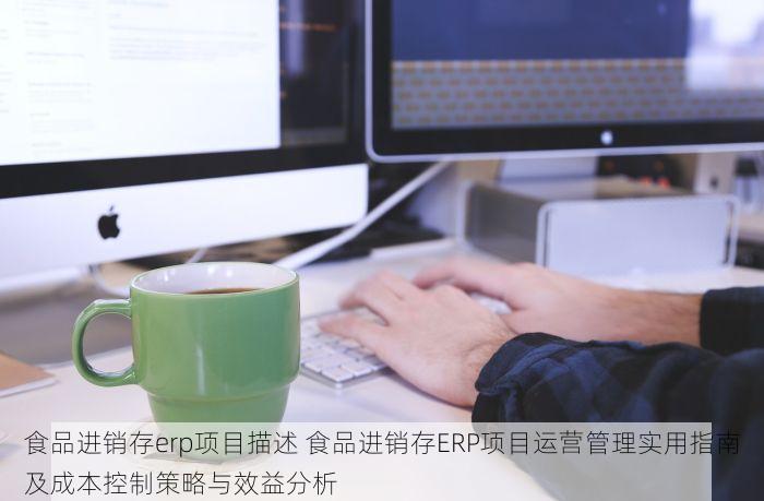 食品进销存erp项目描述 食品进销存ERP项目运营管理实用指南及成本控制策略与效益分析