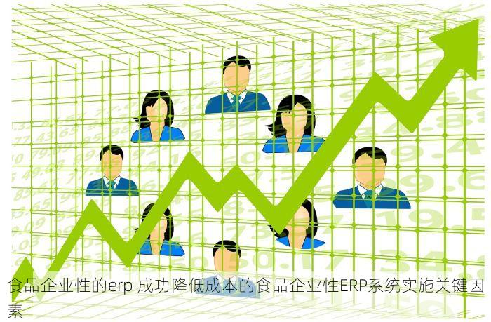 食品企业性的erp 成功降低成本的食品企业性ERP系统实施关键因素