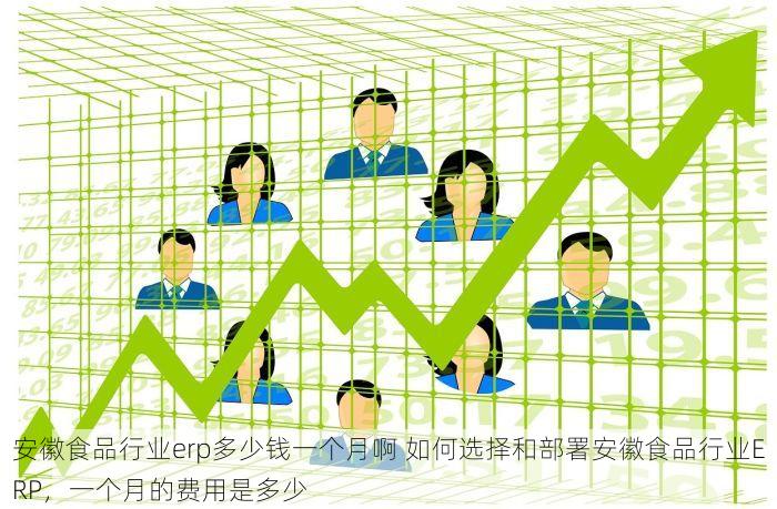 零售行业erp软件 零售行业数字化转型：提升管理效率的ERP软件选购指南