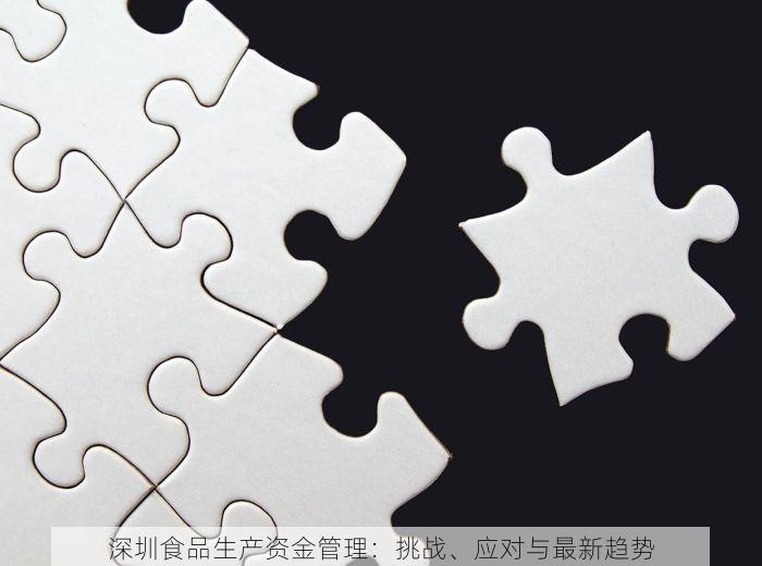 深圳食品生产资金管理：挑战、应对与最新趋势