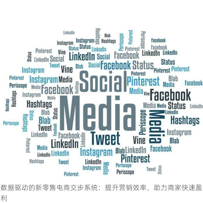 数据驱动的新零售电商交步系统：提升营销效率，助力商家快速盈利