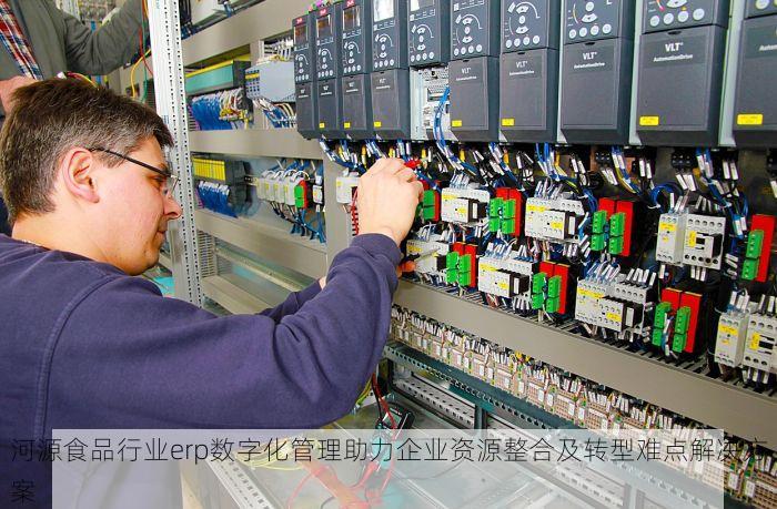 河源食品行业erp数字化管理助力企业资源整合及转型难点解决方案