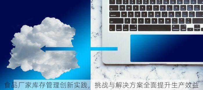 食品厂家库存管理创新实践，挑战与解决方案全面提升生产效益