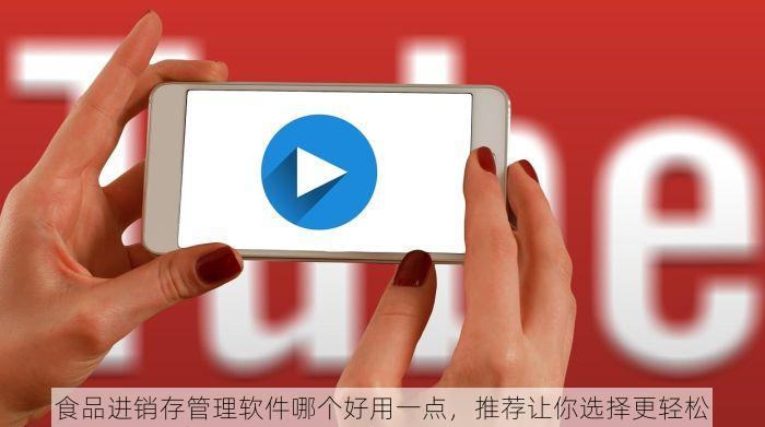 食品进销存管理软件哪个好用一点，推荐让你选择更轻松