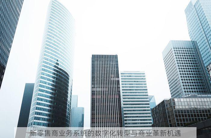 新零售商业务系统的数字化转型与商业革新机遇