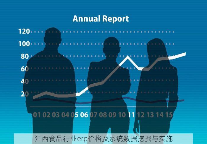 江西食品行业erp价格及系统数据挖掘与实施