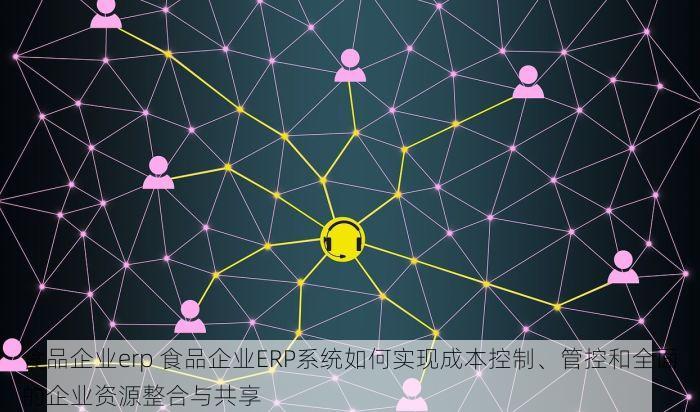 食品企业erp 食品企业ERP系统如何实现成本控制、管控和全面的企业资源整合与共享