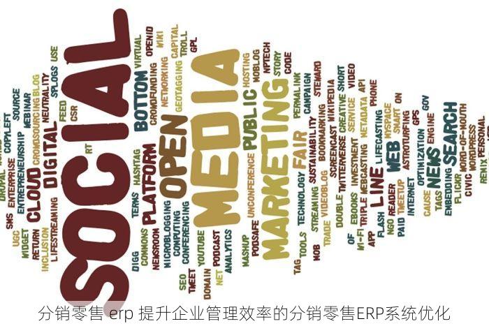分销零售 erp 提升企业管理效率的分销零售ERP系统优化
