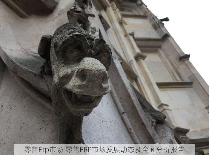 零售Erp市场 零售ERP市场发展动态及全面分析报告