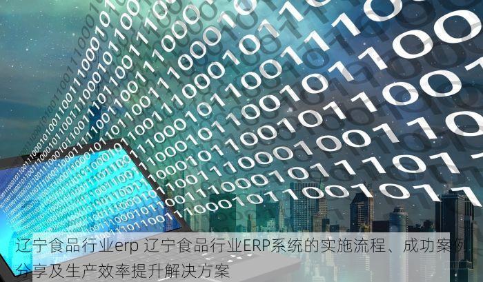 辽宁食品行业erp 辽宁食品行业ERP系统的实施流程、成功案例分享及生产效率提升解决方案