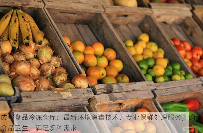 成都食品冷冻仓库：最新环境消毒技术，专业保鲜处理服务，确保食品卫生，满足多种需求