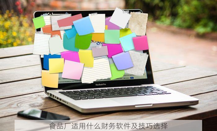 食品厂适用什么财务软件及技巧选择