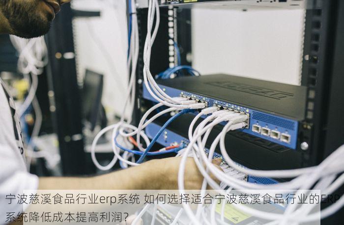 宁波慈溪食品行业erp系统 如何选择适合宁波慈溪食品行业的ERP系统降低成本提高利润？