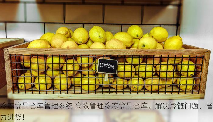 冷冻食品仓库管理系统 高效管理冷冻食品仓库，解决冷链问题，省力进货！