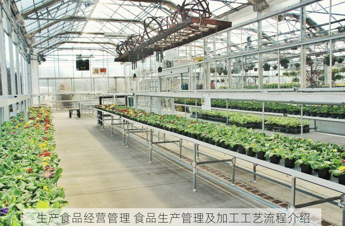 生产食品经营管理 食品生产管理及加工工艺流程介绍