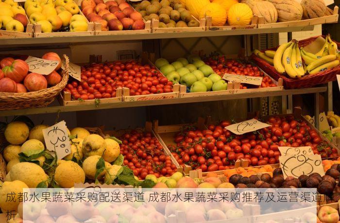 成都水果蔬菜采购配送渠道 成都水果蔬菜采购推荐及运营渠道解析