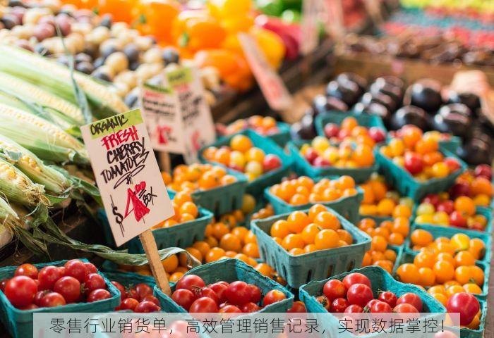 零售行业销货单，高效管理销售记录，实现数据掌控！