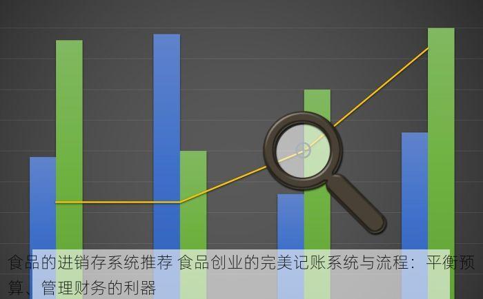 食品的进销存系统推荐 食品创业的完美记账系统与流程：平衡预算、管理财务的利器