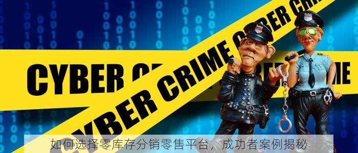 如何选择零库存分销零售平台，成功者案例揭秘