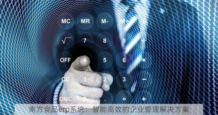 南方食品erp系统：智能高效的企业管理解决方案