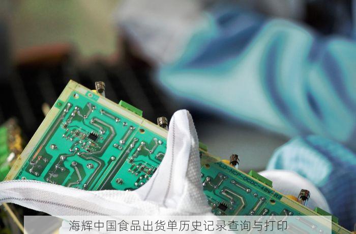 海辉中国食品出货单历史记录查询与打印