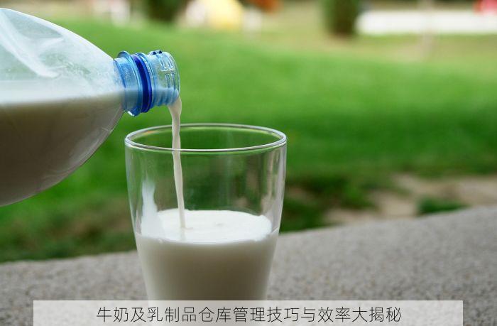 牛奶及乳制品仓库管理技巧与效率大揭秘
