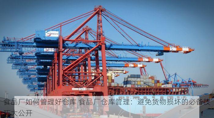 食品厂如何管理好仓库 食品厂仓库管理：避免货物损坏的必备技巧大公开