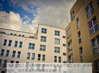 西安食品代加工企业有哪些 揭秘西安食品代加工企业：好友推荐，口碑超好，你不知道的内幕都在这里！