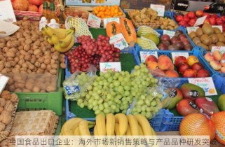 中国食品出口企业：海外市场新销售策略与产品品种研发突破
